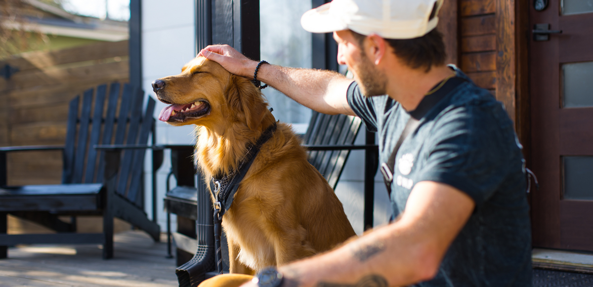 How Dogs & Cats Impact Our Mental Health