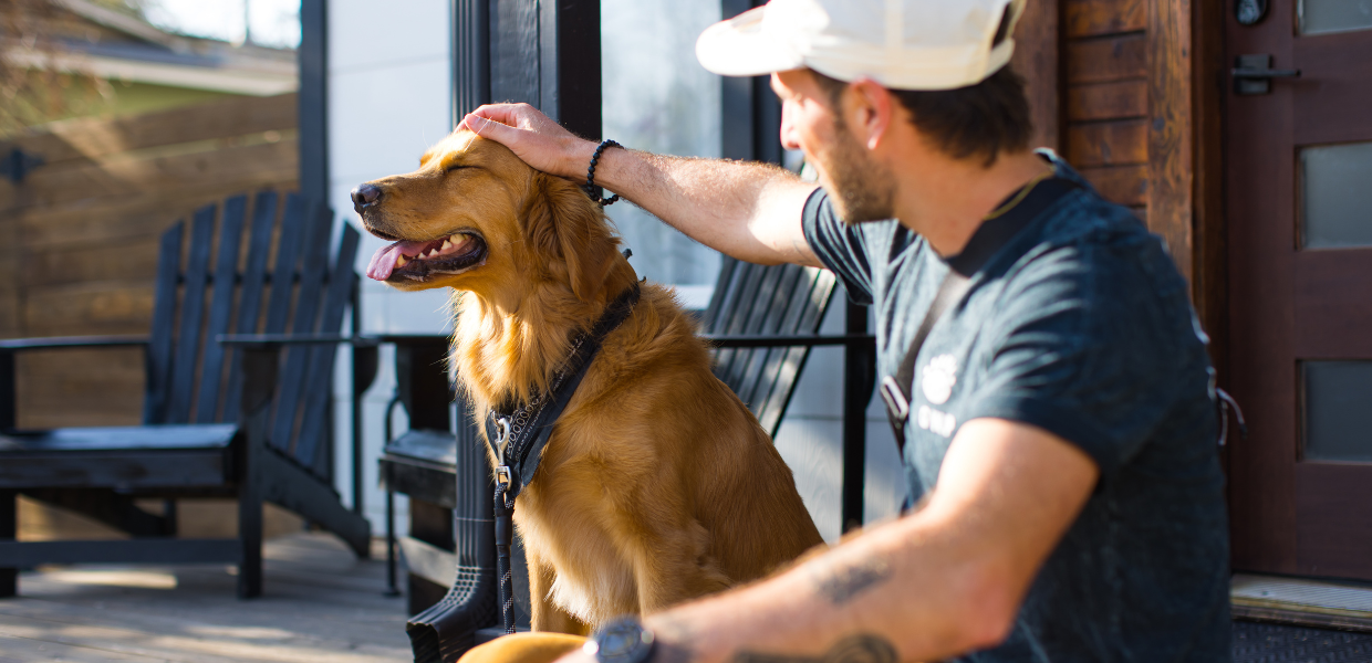 How Dogs & Cats Impact Our Mental Health