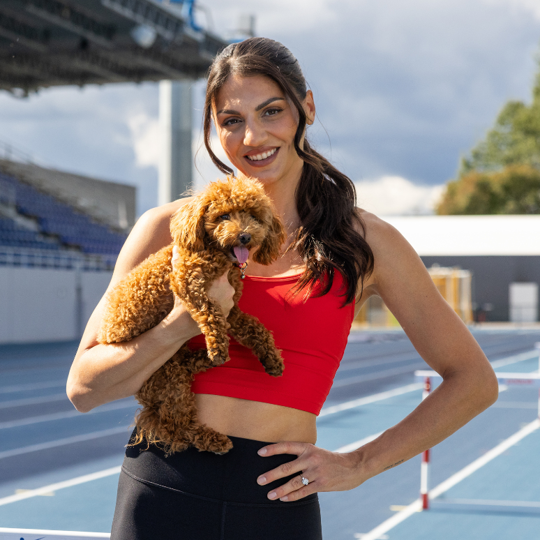 CHAMPION HURDLER NOORALOTTA NEZIRI