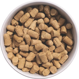 Freeze Dried Raw