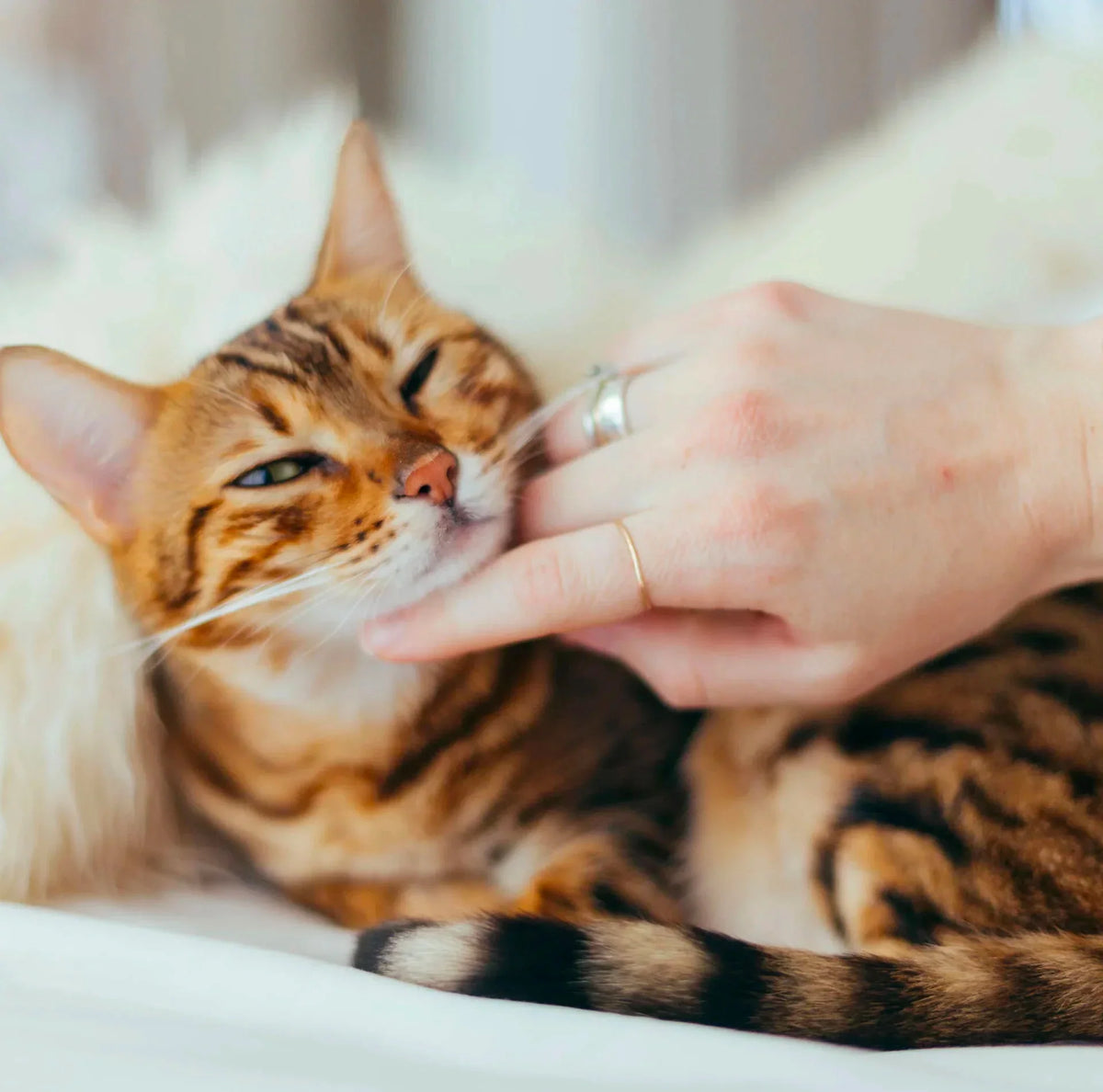 nutrition meets love in every bite