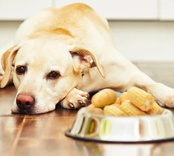 what's in the food?
